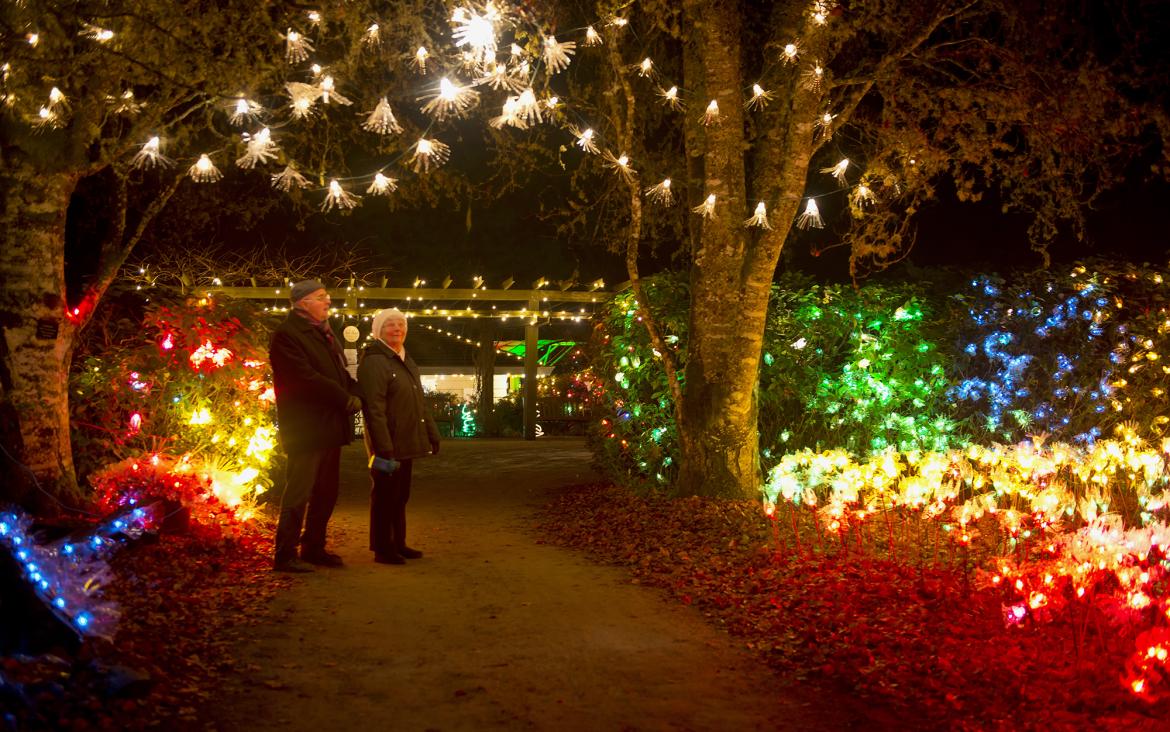 Visitors enjoy a stroll along the lighted paths during Milner Christmas Magic.