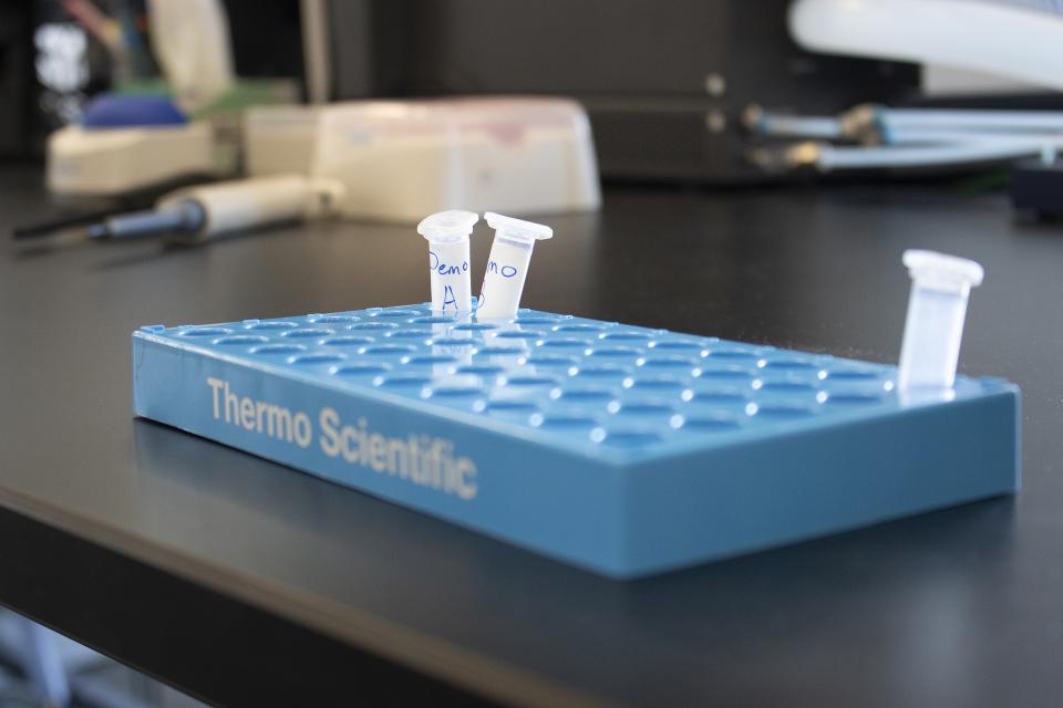Test tube containers in a blue bin.